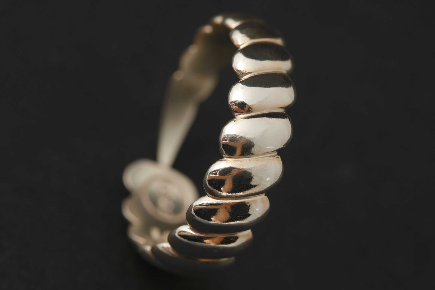 Gefährten-Ring „Einhorn“ aus Silber, poliert